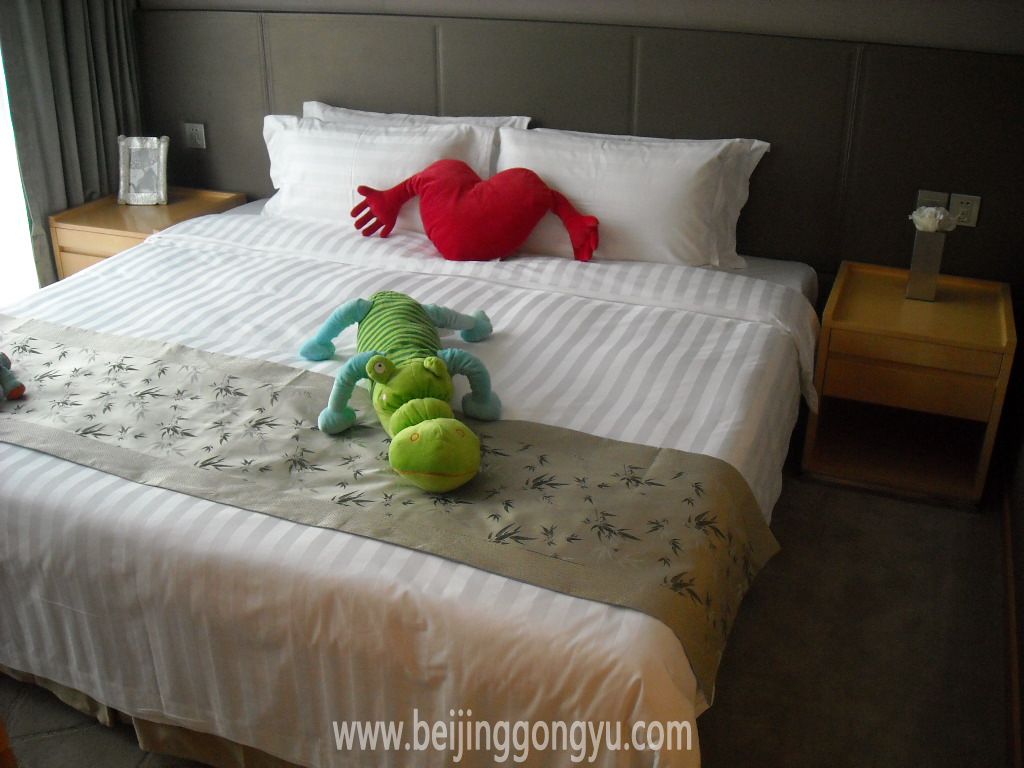 北京雅詩閣來福士中心服務公寓歡迎您