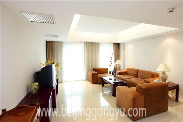 低層大兩居_客廳